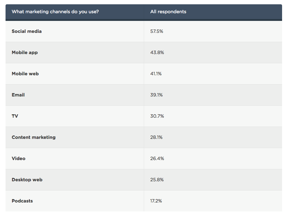 Marketing Channels used by performance marketers