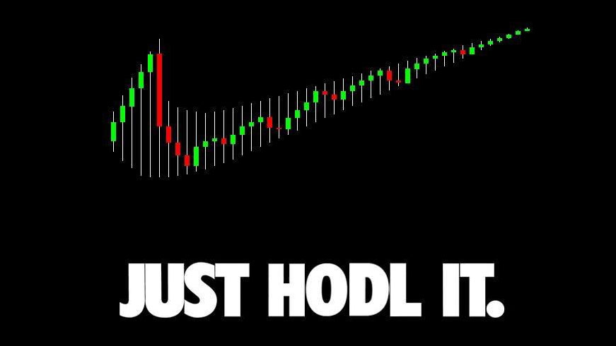 Cryptocurrency hodl meme image