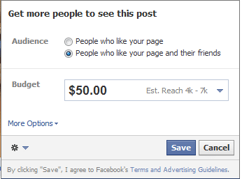 Facebook Promoted Post Friends of Fans