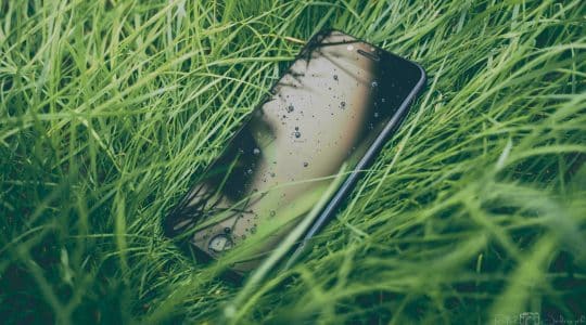 A mobile phone in grass; or, the app ecosystem.