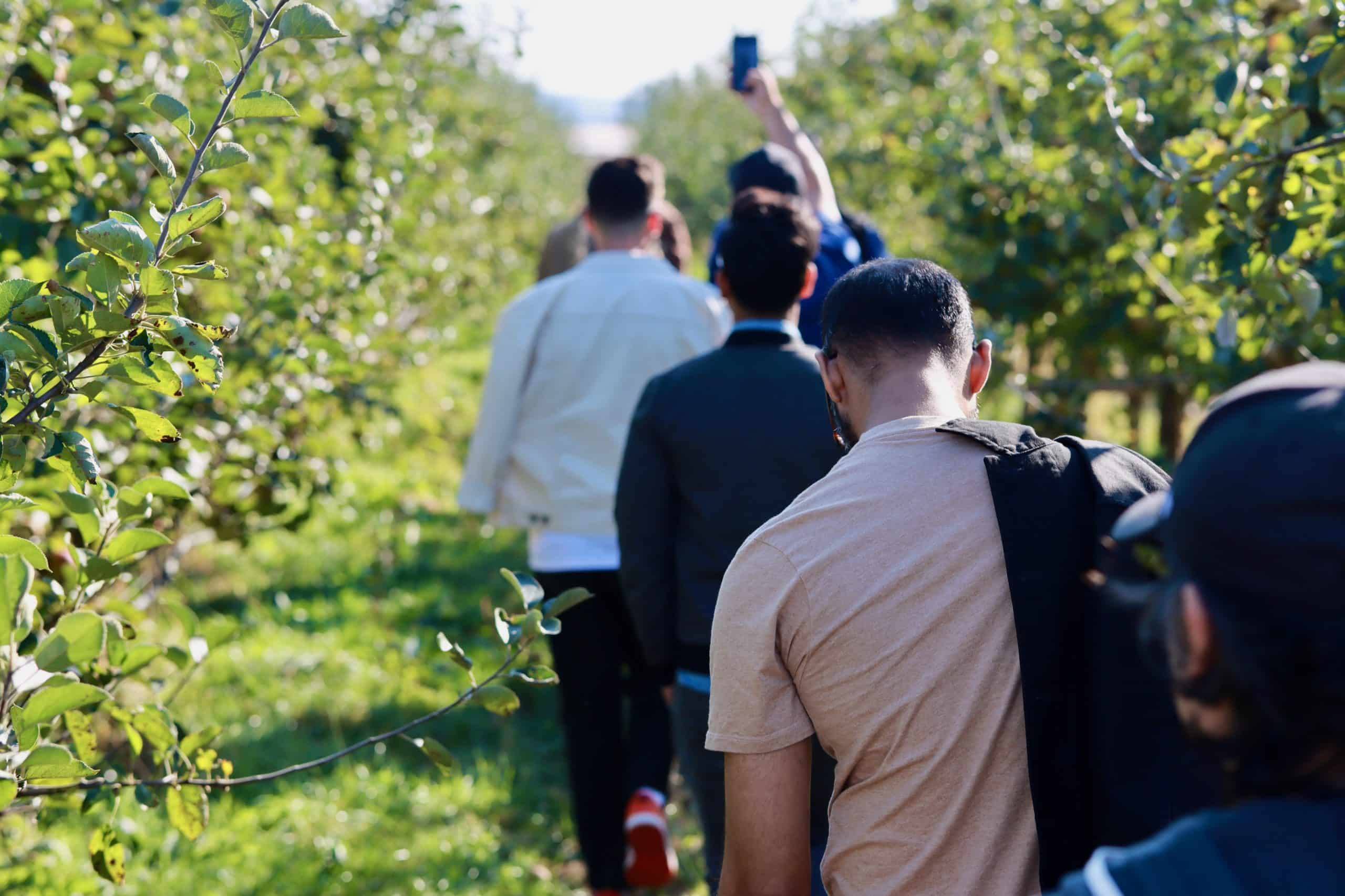 TUNE employees walk through an orchard row during the 2022 TUNE retreat