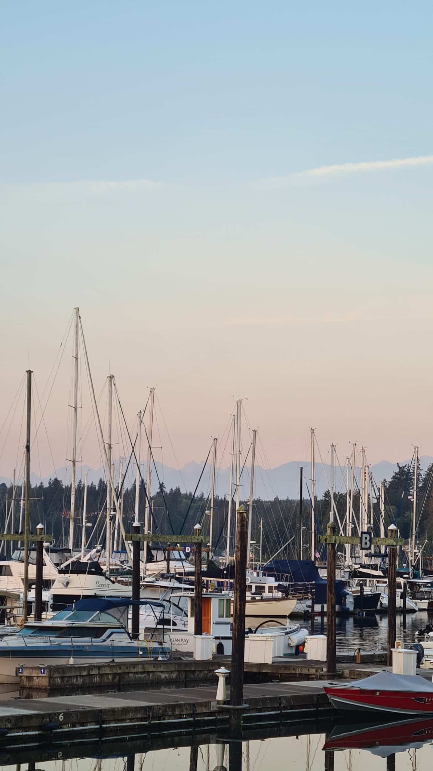 Sailboats and yachts in the marina at Port Ludlow